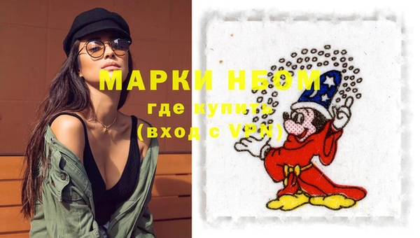 тгк Снежинск