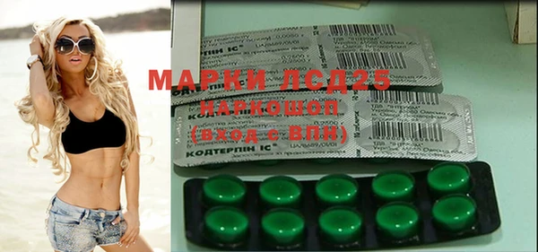 тгк Снежинск