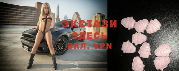 тгк Снежногорск